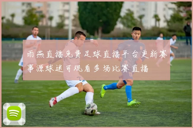 雨燕直播免费足球直播平台更新赛事源球迷可观看多场比赛直播