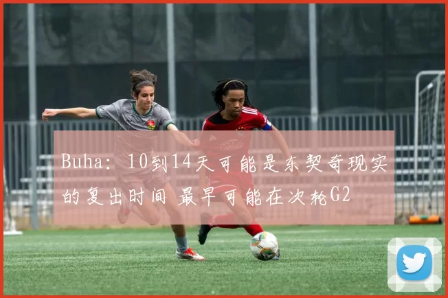 Buha：10到14天可能是东契奇现实的复出时间 最早可能在次轮G2