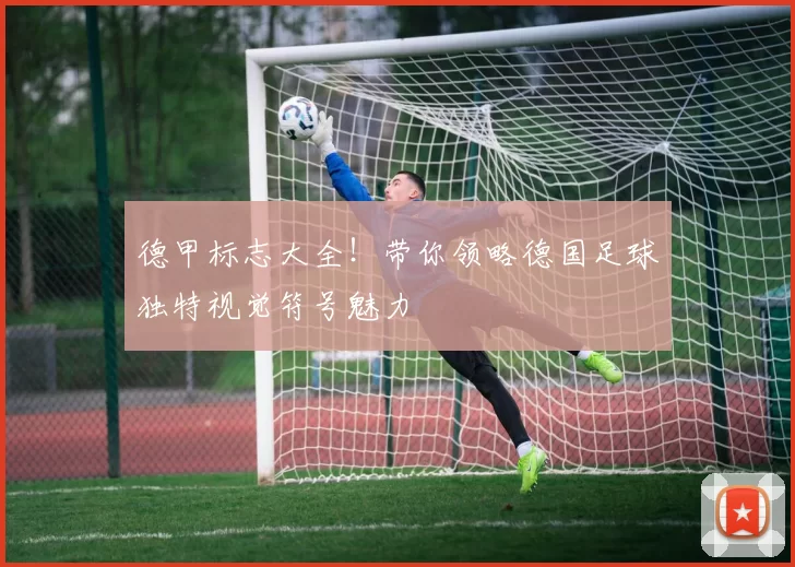 德甲标志大全！带你领略德国足球独特视觉符号魅力