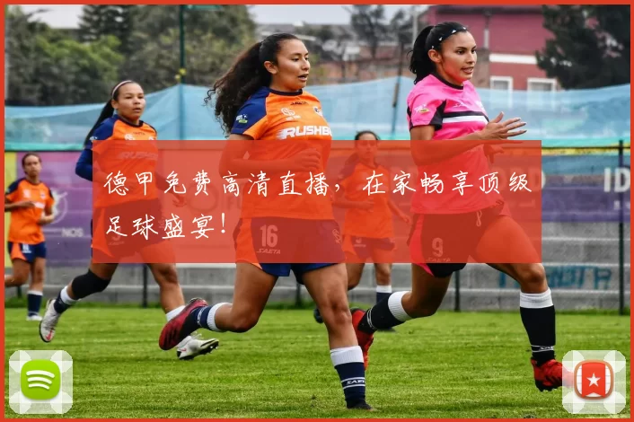 德甲免费高清直播,在家畅享顶级足球盛宴!