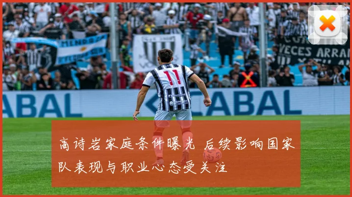 高诗岩家庭条件曝光 后续影响国家队表现与职业心态受关注