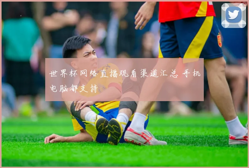 世界杯网络直播观看渠道汇总 手机电脑都支持